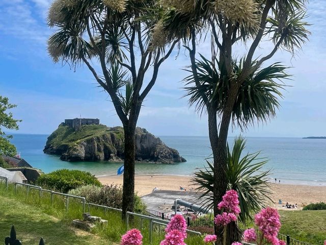 Tenby Looking ‘Pawsitively’ Tropical – A Slice of Paradise in Wales