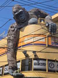 🇯🇵探秘東京隱藏寶地🦧三軒茶屋必逛指南，打卡猩猩樓🦍