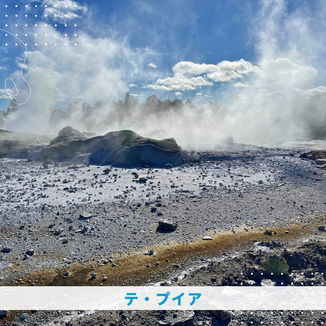 【NZ】🌋オークランドからロトルアへ！