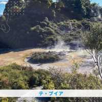 【NZ】🌋オークランドからロトルアへ！