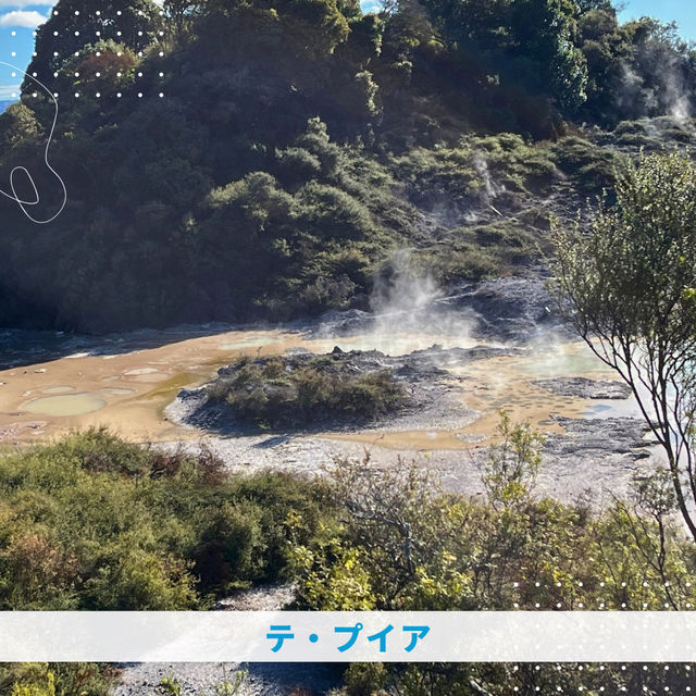 【NZ】🌋オークランドからロトルアへ！