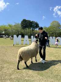 Makaino Farm 🐏🌾