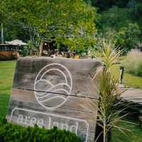 “อารีแลนด์” (Aree Land) : โครงการปลูกป่า