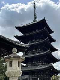 Day trip from Osaka to Nara
