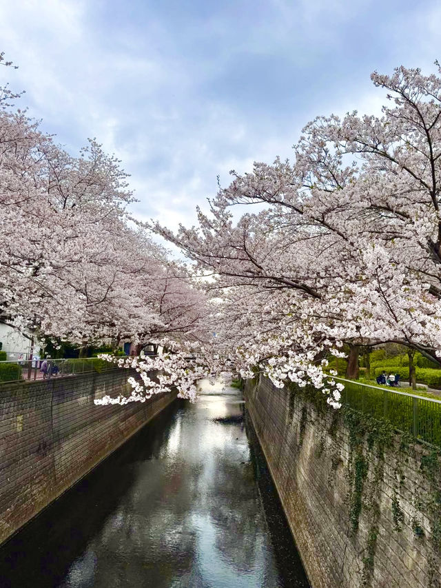 Nature & Retro Café Vibes in Itabashi, Tokyo🌸