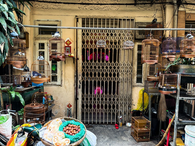 🇻🇳越南豪仕紡Hào Sỹ phường