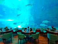 Deep Sea Cafeteria