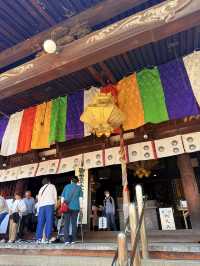大阪｜到葛井寺看紫藤白藤 1300年11面千手觀音神像近距離參拜