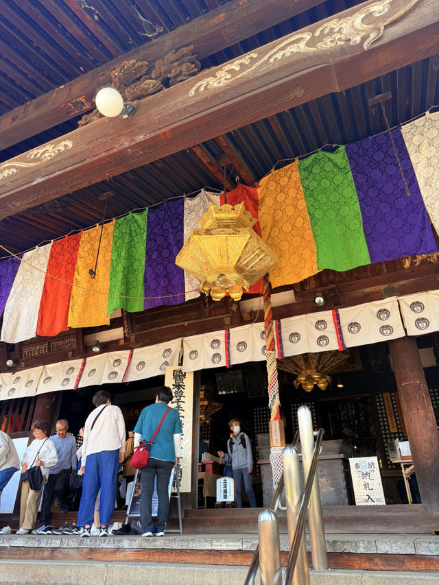 大阪｜到葛井寺看紫藤白藤 1300年11面千手觀音神像近距離參拜