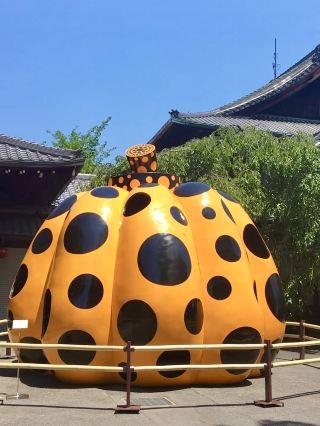 A Day of Art in Kyoto – Tradition Meets Creativity
