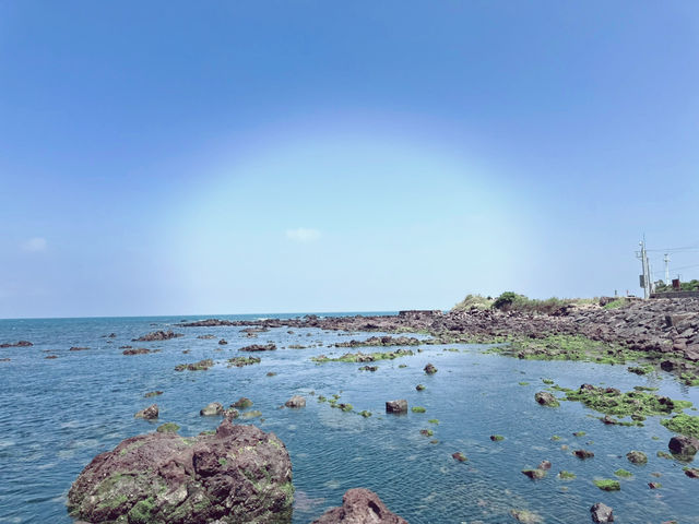 오늘의 데이트는 맑음 ☀️