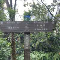 【台北靜謐山徑】漫步文間山｜城市邊緣的綠意秘境