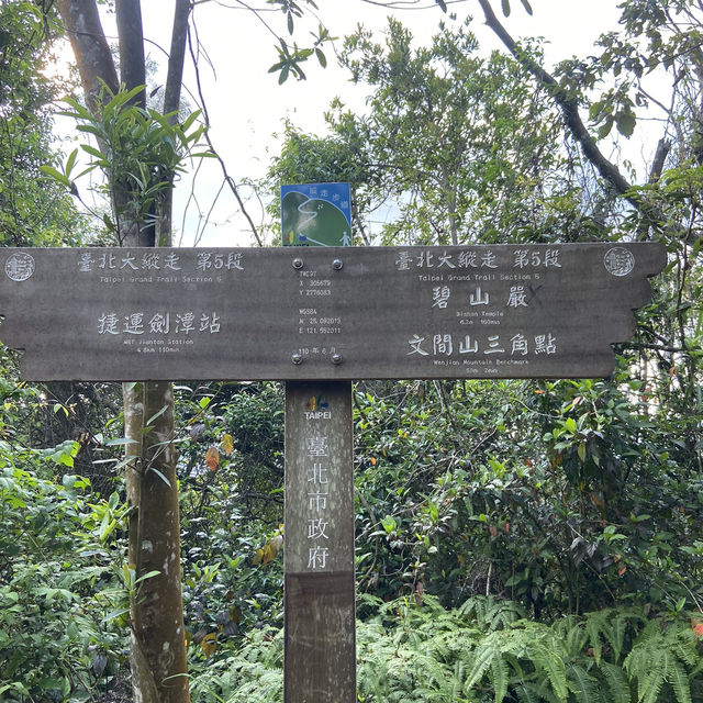 【台北靜謐山徑】漫步文間山｜城市邊緣的綠意秘境