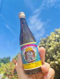 【波照間島】日本最南端の島🏝️