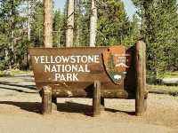 Yellowstone National Park – Earth’s Wild Heartbeat