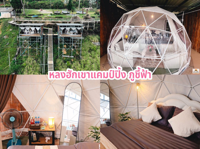 หลงฮักเขาแคมป์ปิ้ง ภูชี้ฟ้า