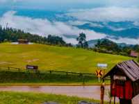 ขุ​ น​ ส​ ถ​ า​ น​ | Road Trip​ น่าน​ 🚙⛰️🍃