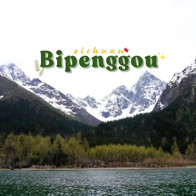 ✨Bipenggou ปี้เผิงโกว เที่ยว 4 ชม. ครบทุกจุด💖