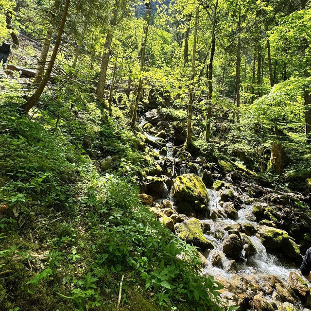 在人間仙境～德國國王湖享用清澈湖面倒映的山林美景