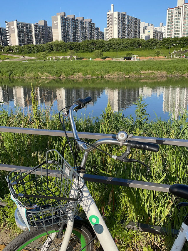 🌿 햇살 가득한 오후, 오목교 공원에서의 자전거 한 바퀴 🚴‍♀️