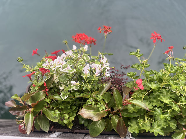Hotel Drei Könige – Historic Comfort in the Heart of Lucerne