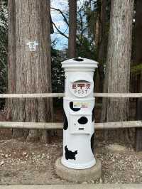 日本親子遊🇯🇵東京近郊，放羊體驗，千本松牧場🐴🐰🐄🐃🐑