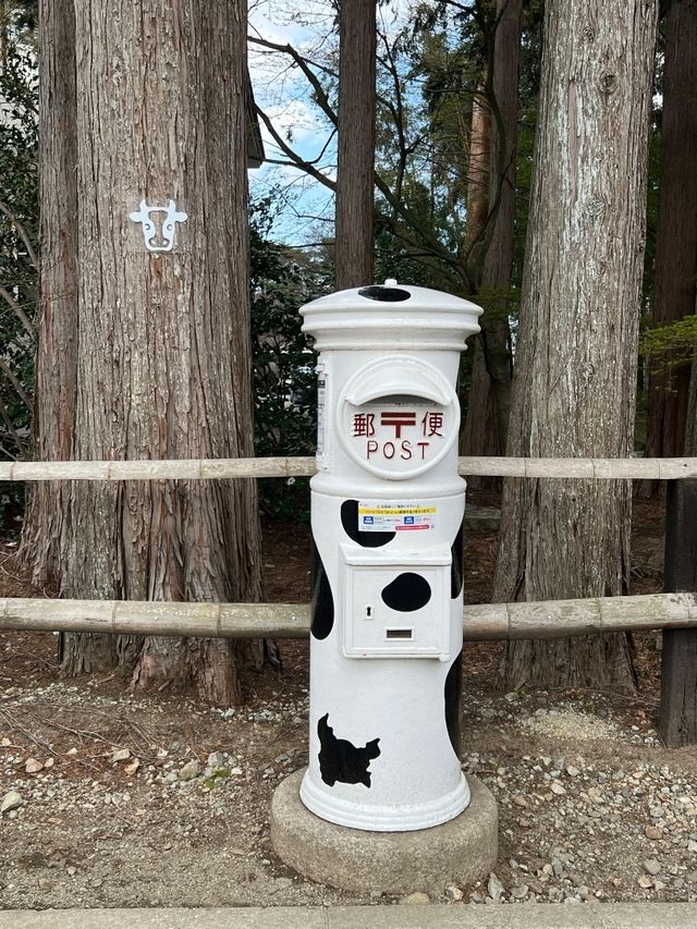 日本親子遊🇯🇵東京近郊，放羊體驗，千本松牧場🐴🐰🐄🐃🐑