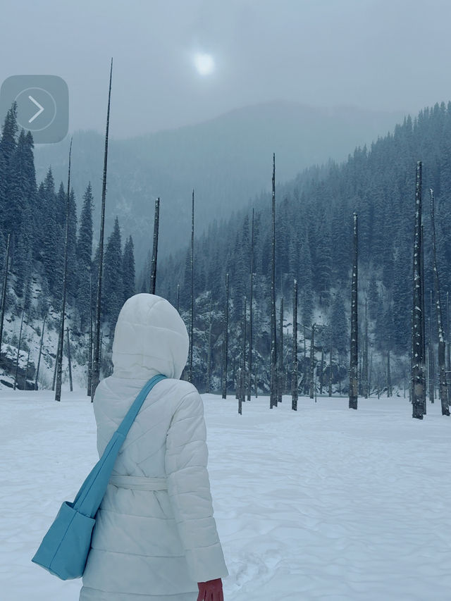 Frozen Dreams: A Winter Escape to Lake Kaindy