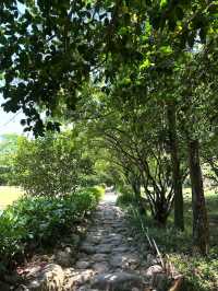 Forest Paths, Temple Vibes, and Total Peace Mode**