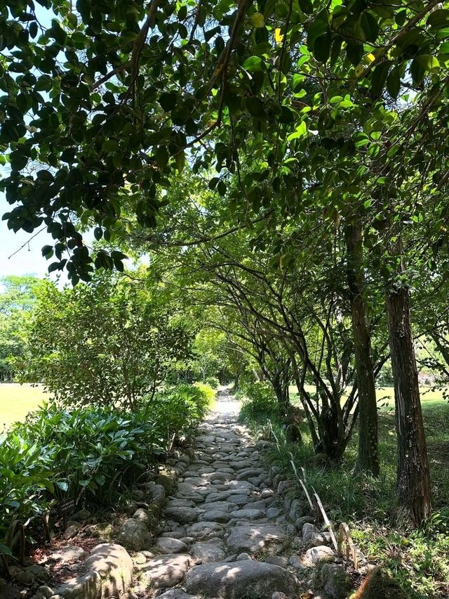 Forest Paths, Temple Vibes, and Total Peace Mode**