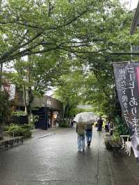 a day trip to aso kumamoto
