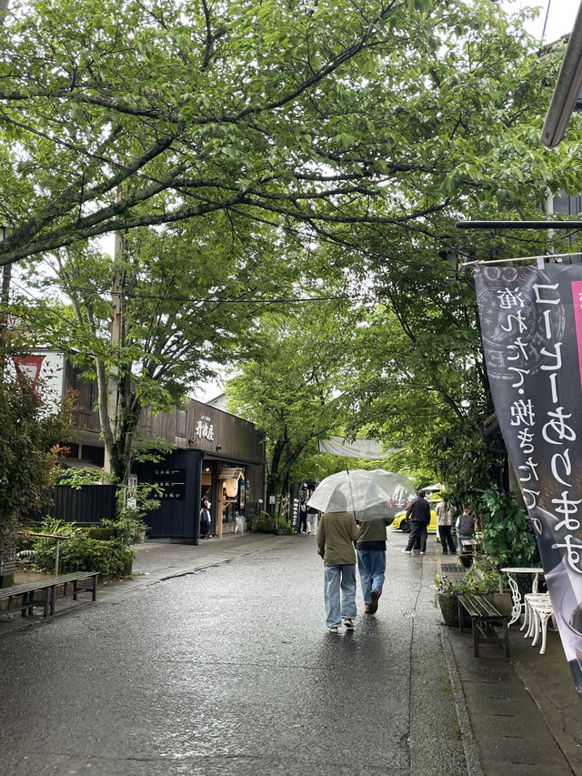 a day trip to aso kumamoto