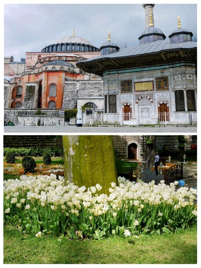 モスク🕌巡り