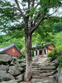 신기한 바위들과 만나는 힐링 사찰🌸