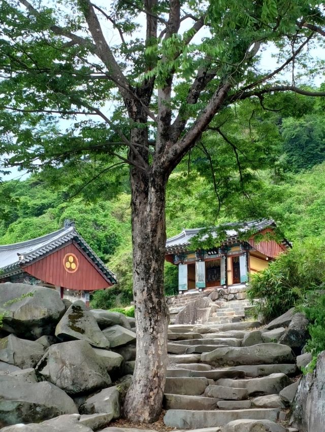 신기한 바위들과 만나는 힐링 사찰🌸
