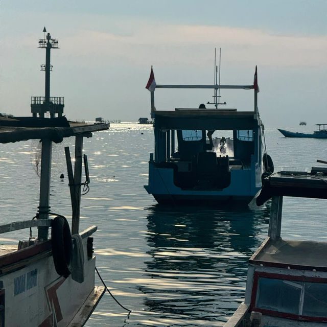 Karimunjawa: Indonesia's Hidden Gem Archipelago! 🇮🇩🏝️