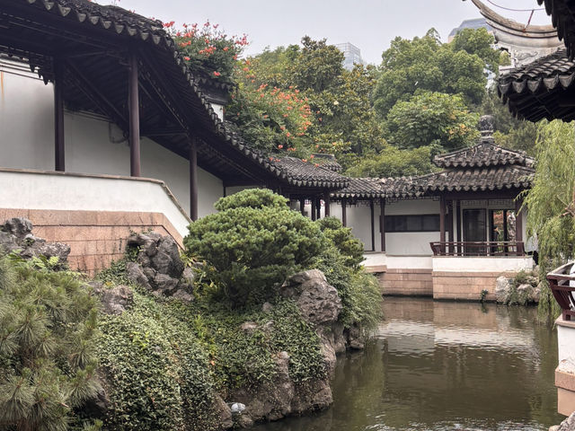 🌿【南京｜瞻園｜一眼千年，一步入畫】