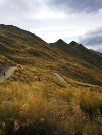 Down South to NZ