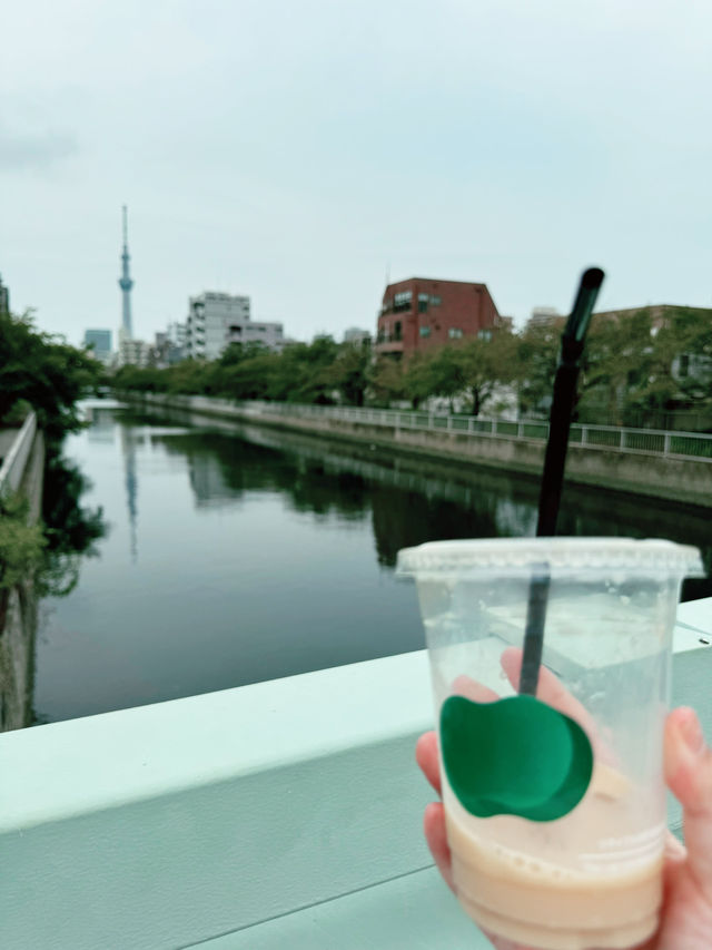 【東京 清澄白河】現代美術館内のカフェ