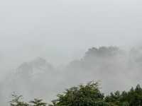 雲の海に包まれる朝。ここはタイの秘境、パノントゥン。」
