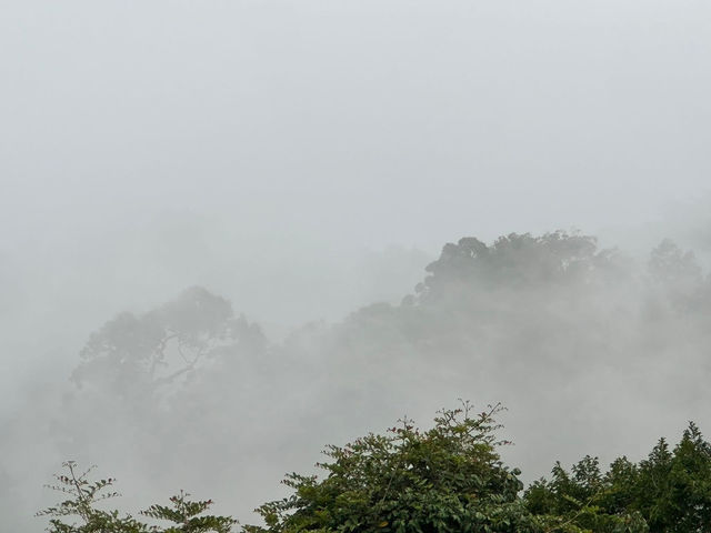 雲の海に包まれる朝。ここはタイの秘境、パノントゥン。」