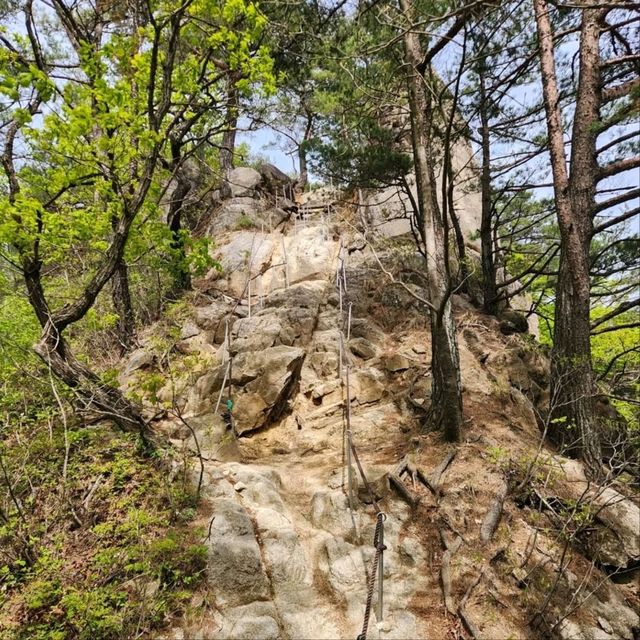 The summit of Mt. Obong