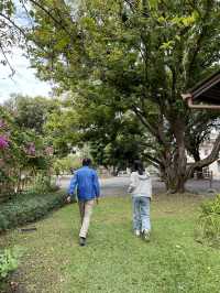 คาเฟ่ในสวน ฟีลปิกนิกกลางเมือง จ.เชียงใหม่