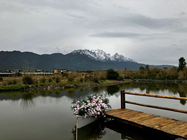 Tranquil Escape at Lijiang Botanical Garden