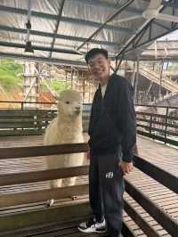 Me and my Fluffy Sidekick