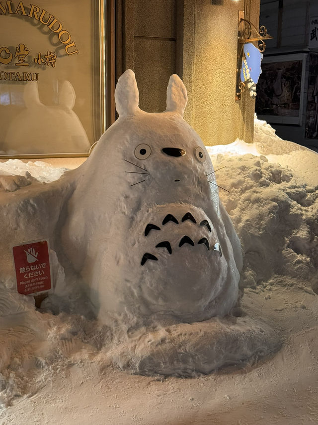 겨울 홋카이도를 가야하는 이유 ❄️