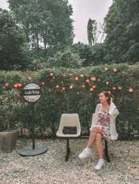 Cafe Hopping in Chiang Rai – A Must for Coffee & Photo Lovers! 📸☕