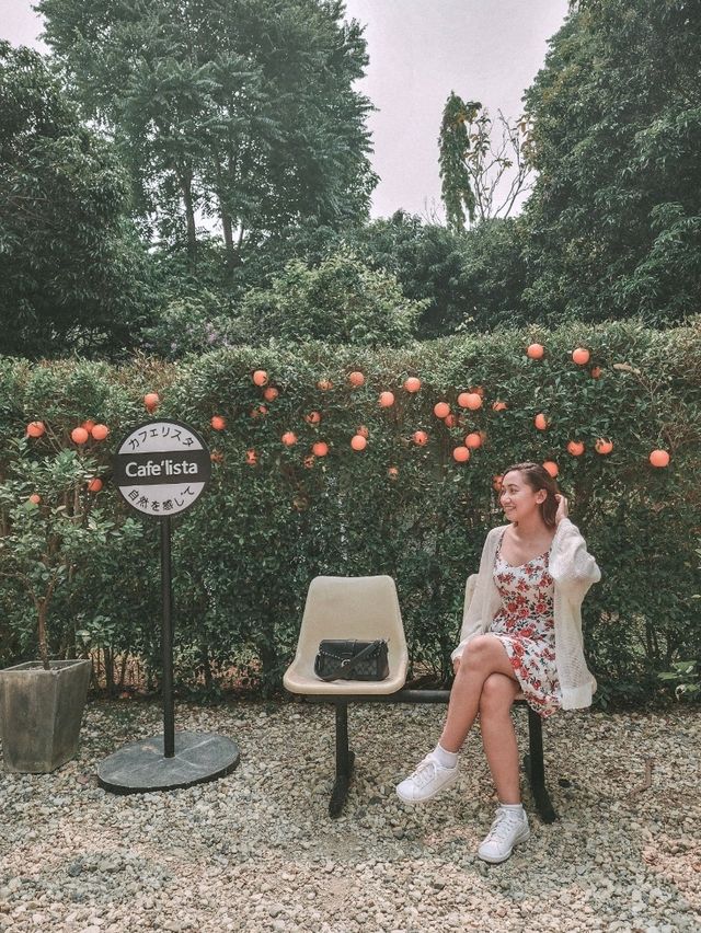 Cafe Hopping in Chiang Rai – A Must for Coffee & Photo Lovers! 📸☕