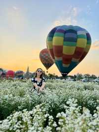 Heaven is a Field of Flowers and a Sky Full of Balloons @Aunty Nok Aeang Flower Farm, Chaing Mai 🎈🌸