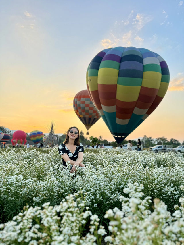 Heaven is a Field of Flowers and a Sky Full of Balloons @Aunty Nok Aeang Flower Farm, Chaing Mai 🎈🌸